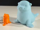 Foca Carina-0