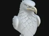 Eagle Bust-1