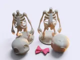 His and Her Bobbing Skeletons-4