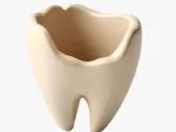 Tooth planter-0