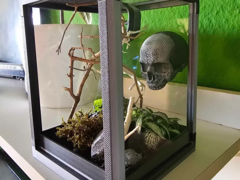 Jumpingspider Terrarium