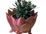 Triple-Color Lotus Planter Set - 2-in-1 Design with Drainage-4