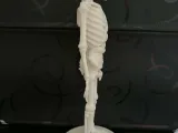Anatomical Skeleton Figure – Human Anatomy Decor-4