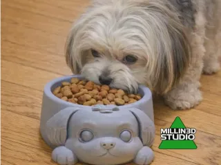 Cute Shitzu Doggy Dish Food Bowl