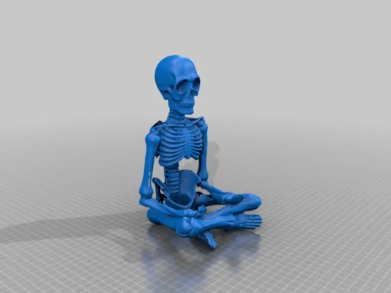 Skeleton Model（generated by Revopoint POP）