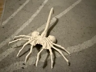 Alien Facehugger