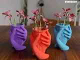 Maceta de Pareja-1