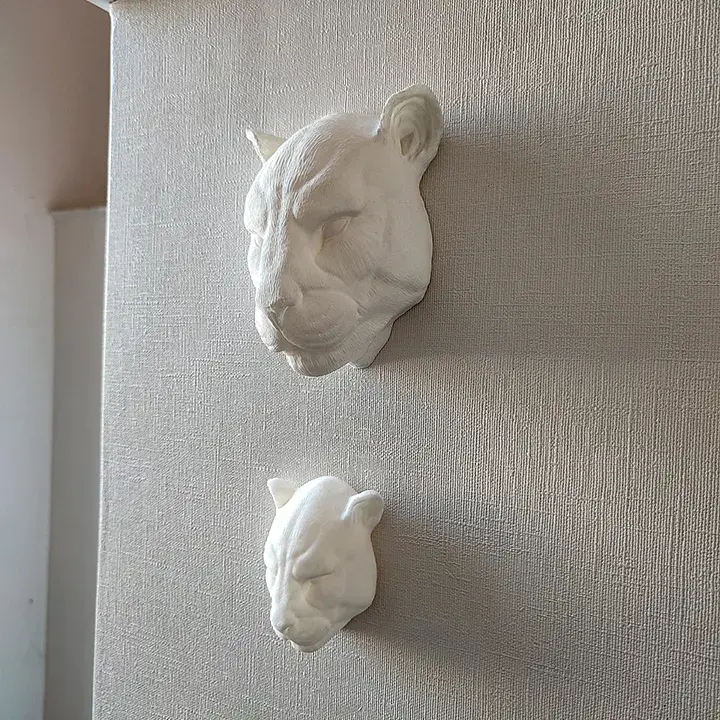 PUMA MURO