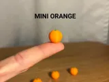 Mini Orange-0