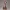 Charlotte Pudding Elegant Dress Collectible Figurine