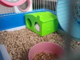 HAMSTER - BIRD LARGE house (EASILY WASHABLE)-3