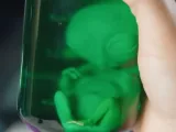 Alien Embryo-0