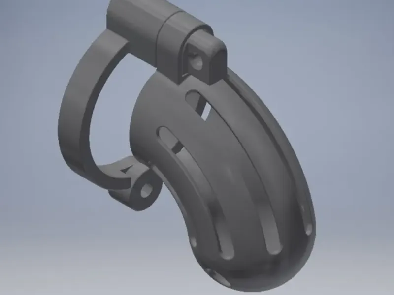 chastity belt 