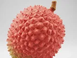 lichia-0