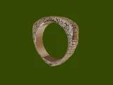 Crocodile Skin Ring-7