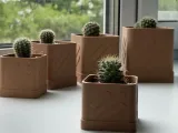 Planter-0