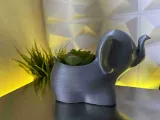 elephant-6