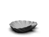 A different seashell-4