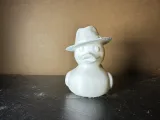 Fedora Eend-1