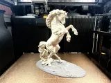 Realistic Horse-5
