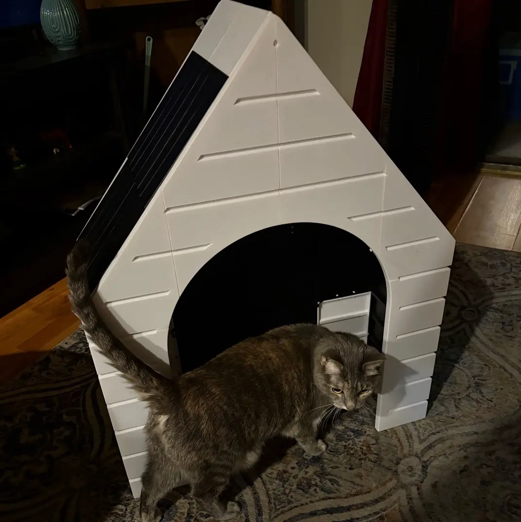 Large Scale Dog House