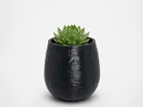 Plant Pot (Crystal)-1