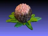 Plasticine flower. 3d scanning with Cr-scan Ferret.-0