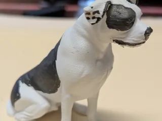Zane (dog)