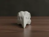 Modello di Teschio di Uccello per la Stampa 3D-0