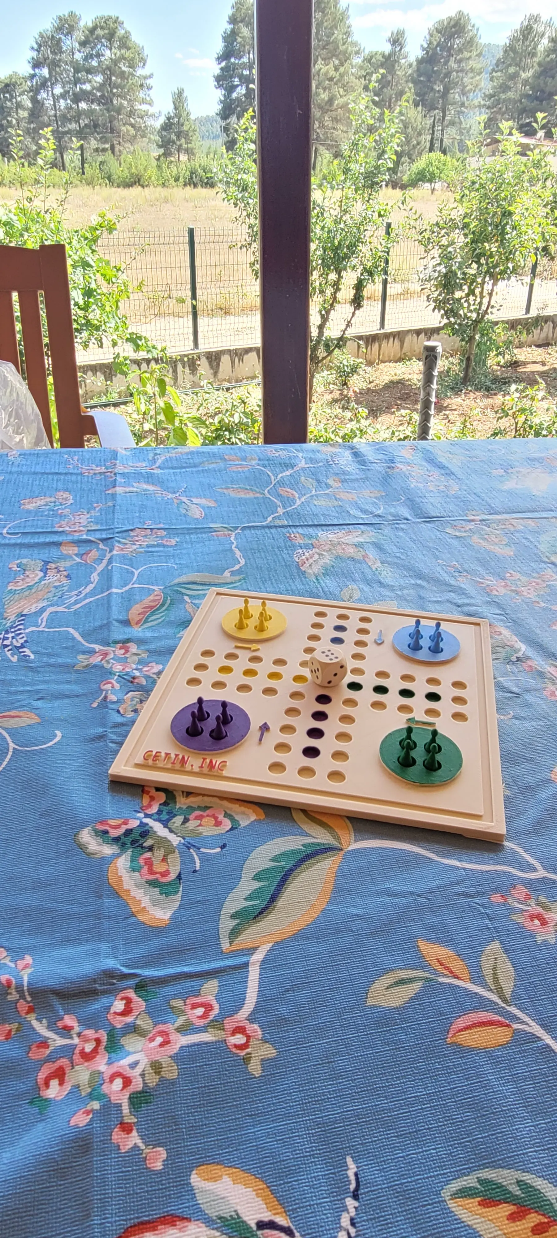 Ludo game