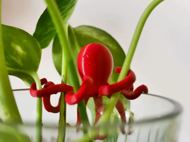 Octoplant - Water Propagation Octopus