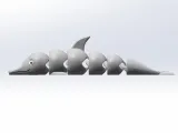 Curious dolphin-2