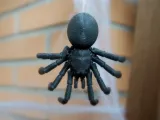 Articulated Tarantula-4