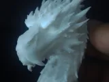Smaug Bust-2