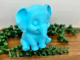 elephant-3