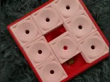 Pet sudoku-0