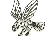Eagle-creality-co-1