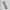 Bookmark Luffy & Roronoa One Piece