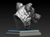 BORDER COLLIE HEAD-6