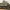 M3 Lee Medium Tank (US, WW2)