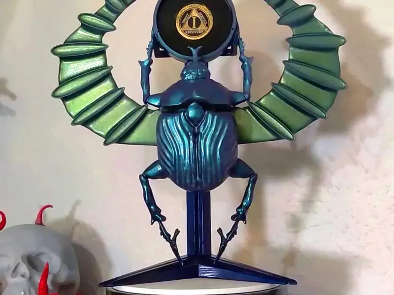Scarub Sobriety Coin Holder
