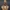 Snoop Dogg bust Calvin Cordozar Broadus Jr. Rapper, singer..