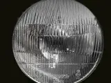 zuzu-3