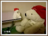 Coca-Cola Bear(3D Scan)-0