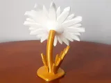 Daisy Photo Frame-4