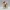 Knitted Meadow Cow Companion – Noah0x03