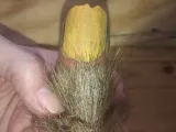 Bigfoot Toe -1
