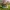 复活节兔子画家 – 3D可打印立体模型