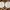 Sellos y cortantes virgenes
