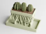 Organic Planter Rectangular-2